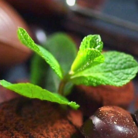 童话中的小豆豆