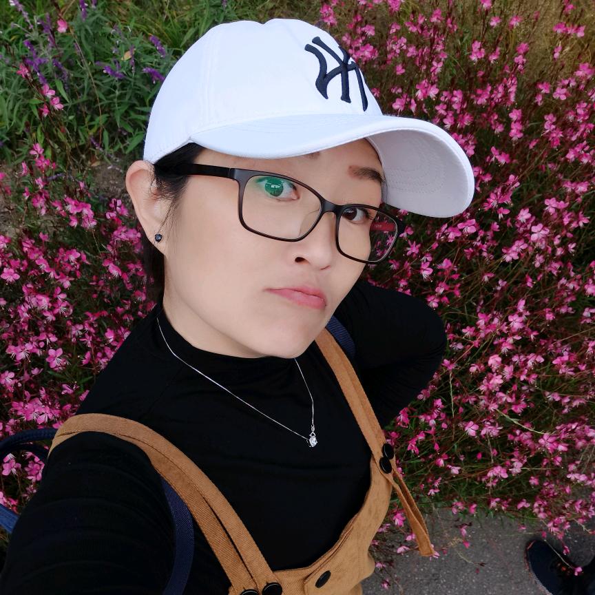 袁丽