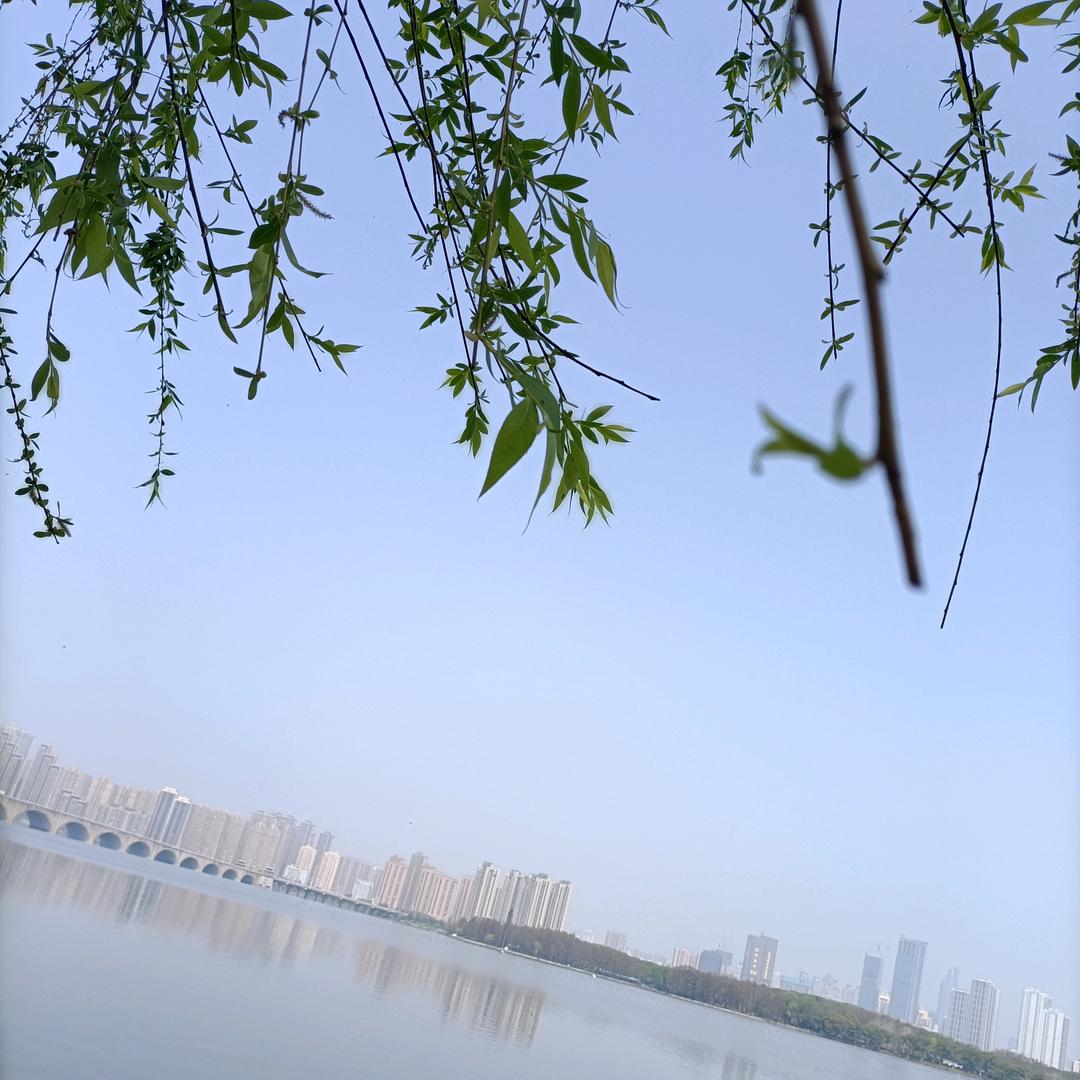 姗姗