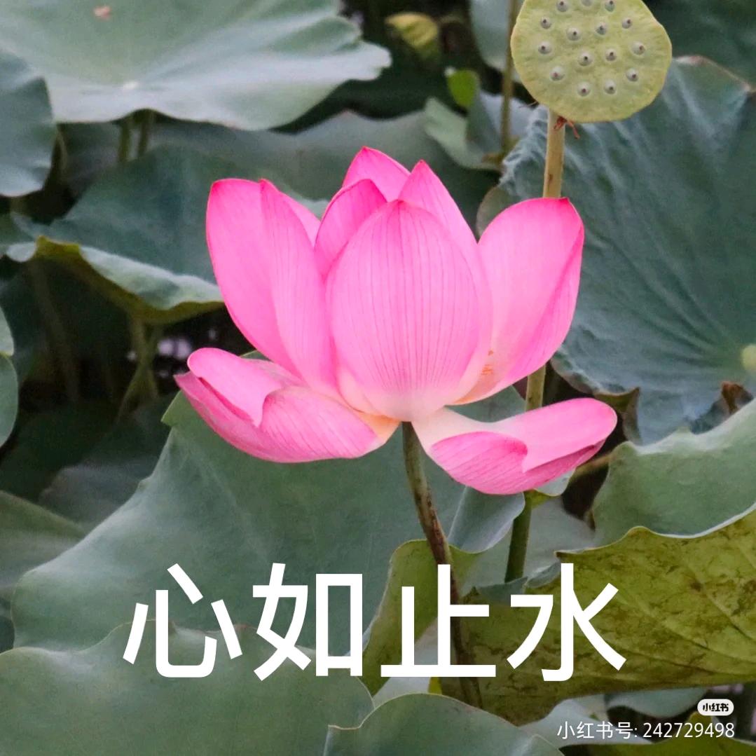 每一天都开心