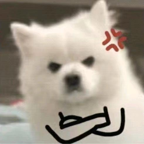 圆圆的小耳朵头像