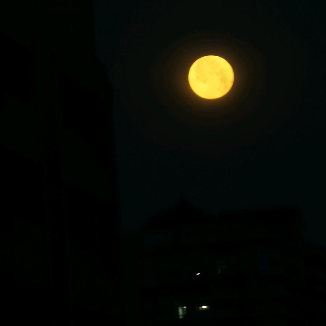 中年先疯队長