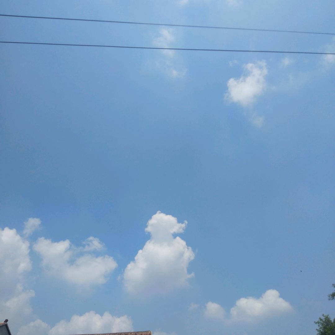 🌻🌻-
