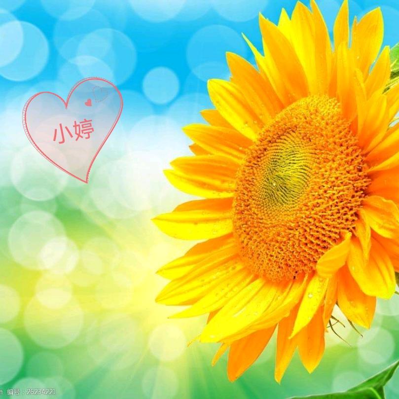 ❥⁵²º☾⋆᭄婷💕⁵²º᭄