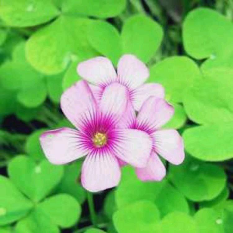 珍惜当下.随心浅行