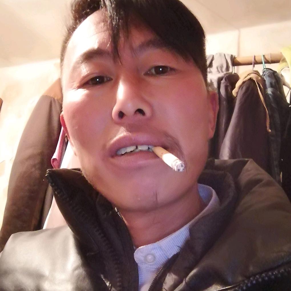 小龙苗木配送各种精品