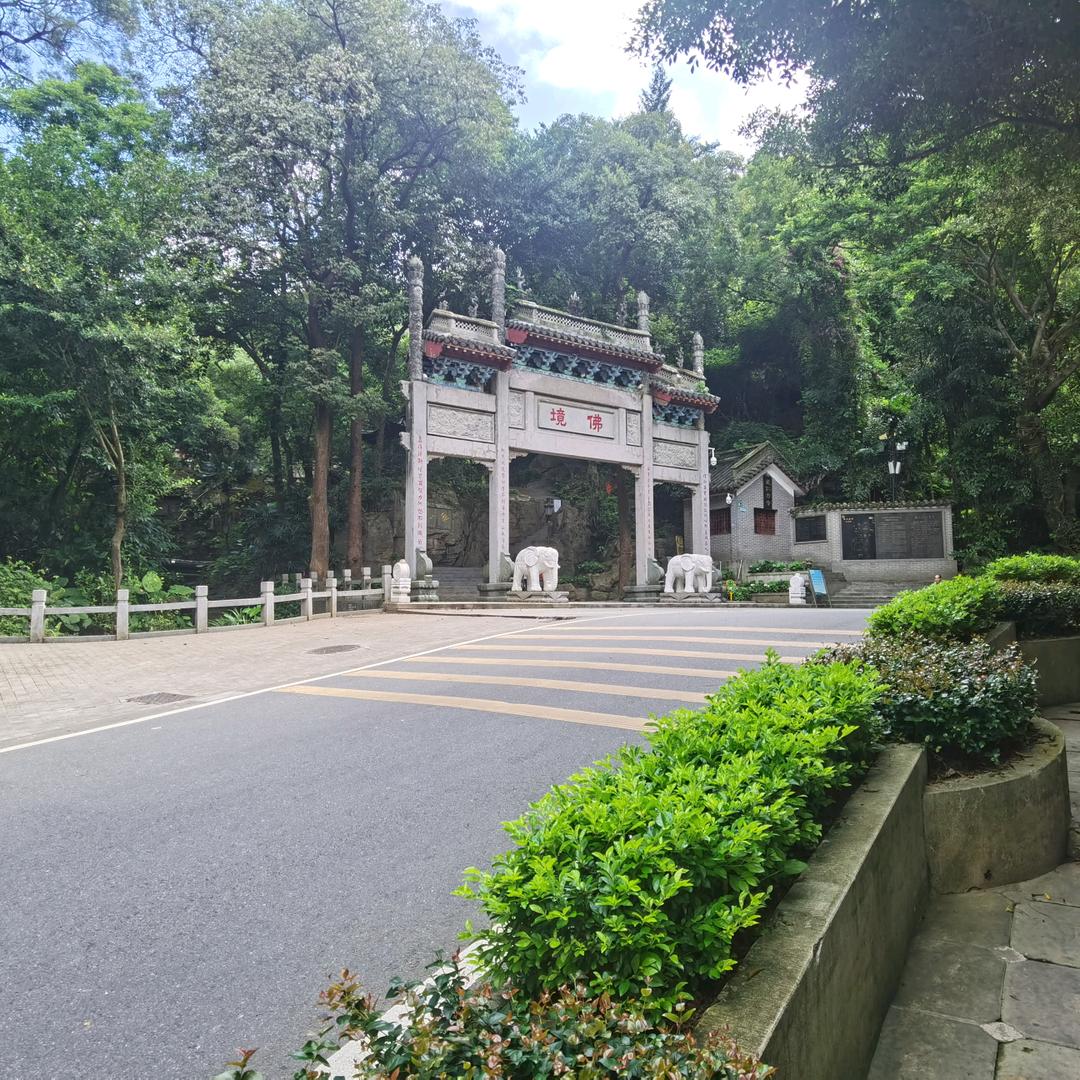 放手去做头像