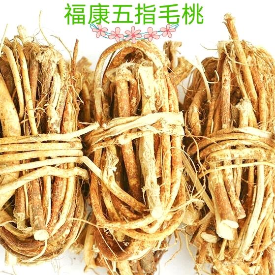 安远版石福康五指毛桃种植专业合作社