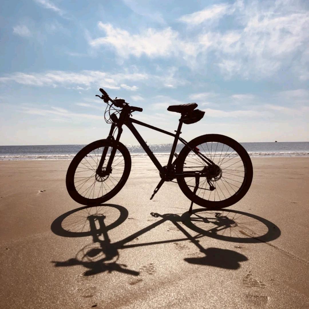 TELSER特思乐碳刀工厂