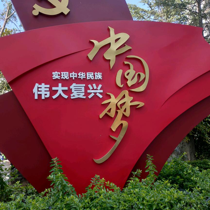 我如成雨