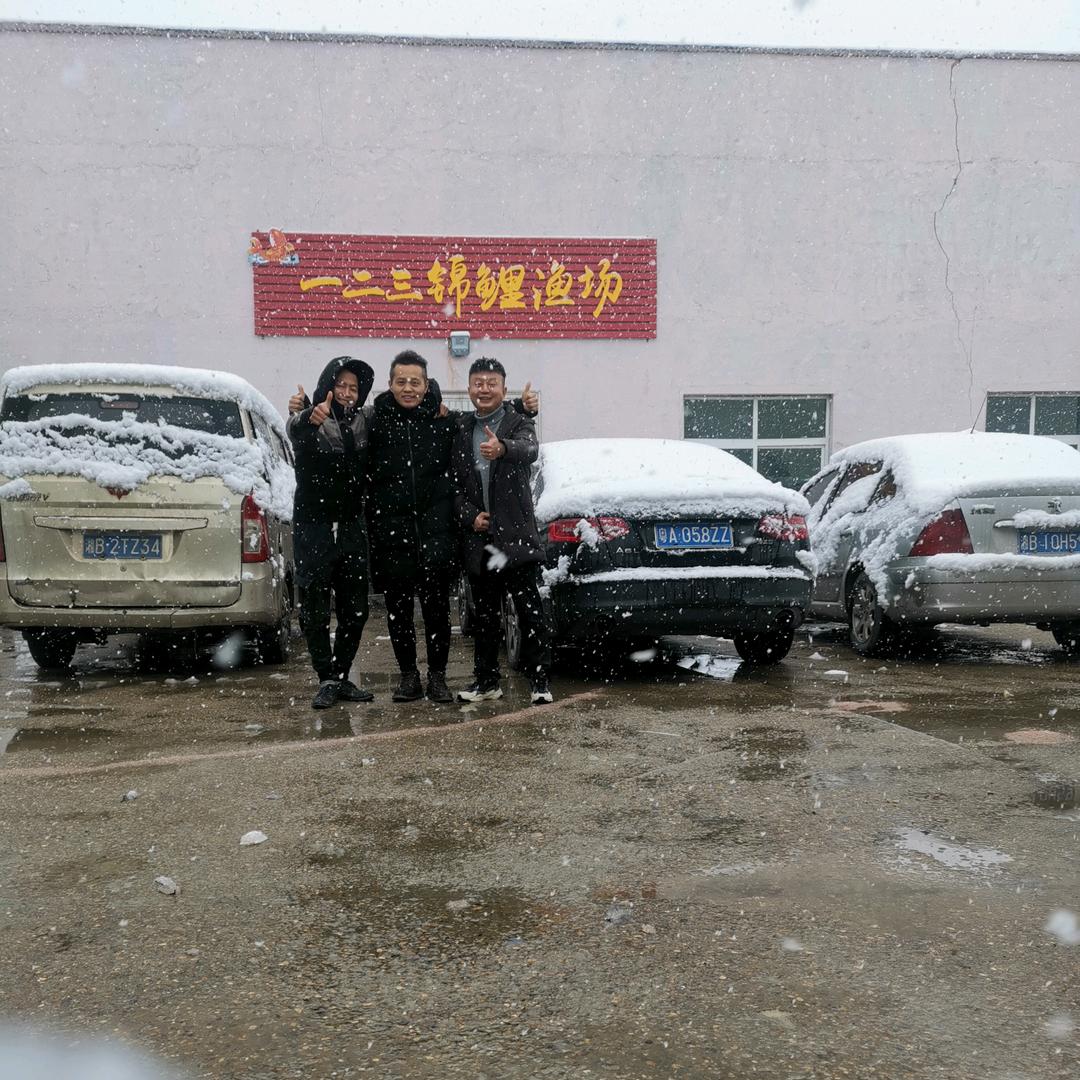 锦诚园艺