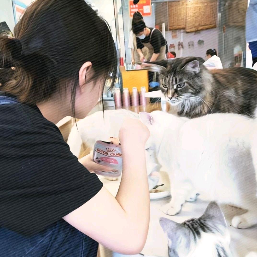 我会睡懒觉