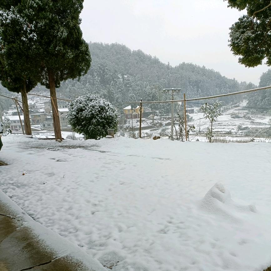 朋友们要柴煤两用炉子请来兴隆小学对面选购