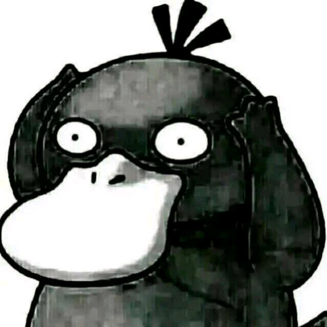不会拍照