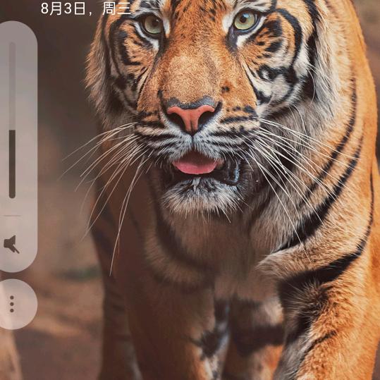 天涯海角一粒沙