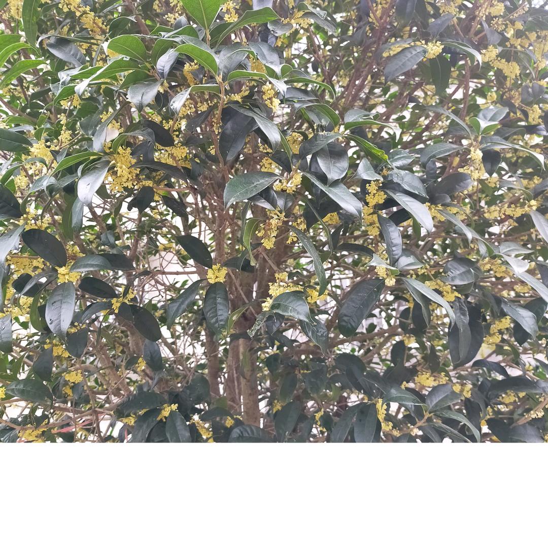 杯水清心