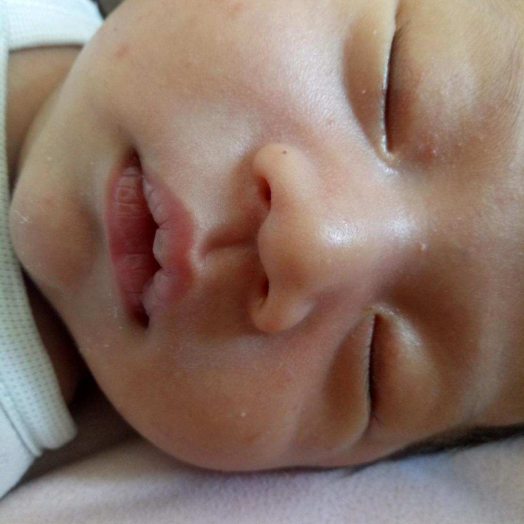 ZJR
