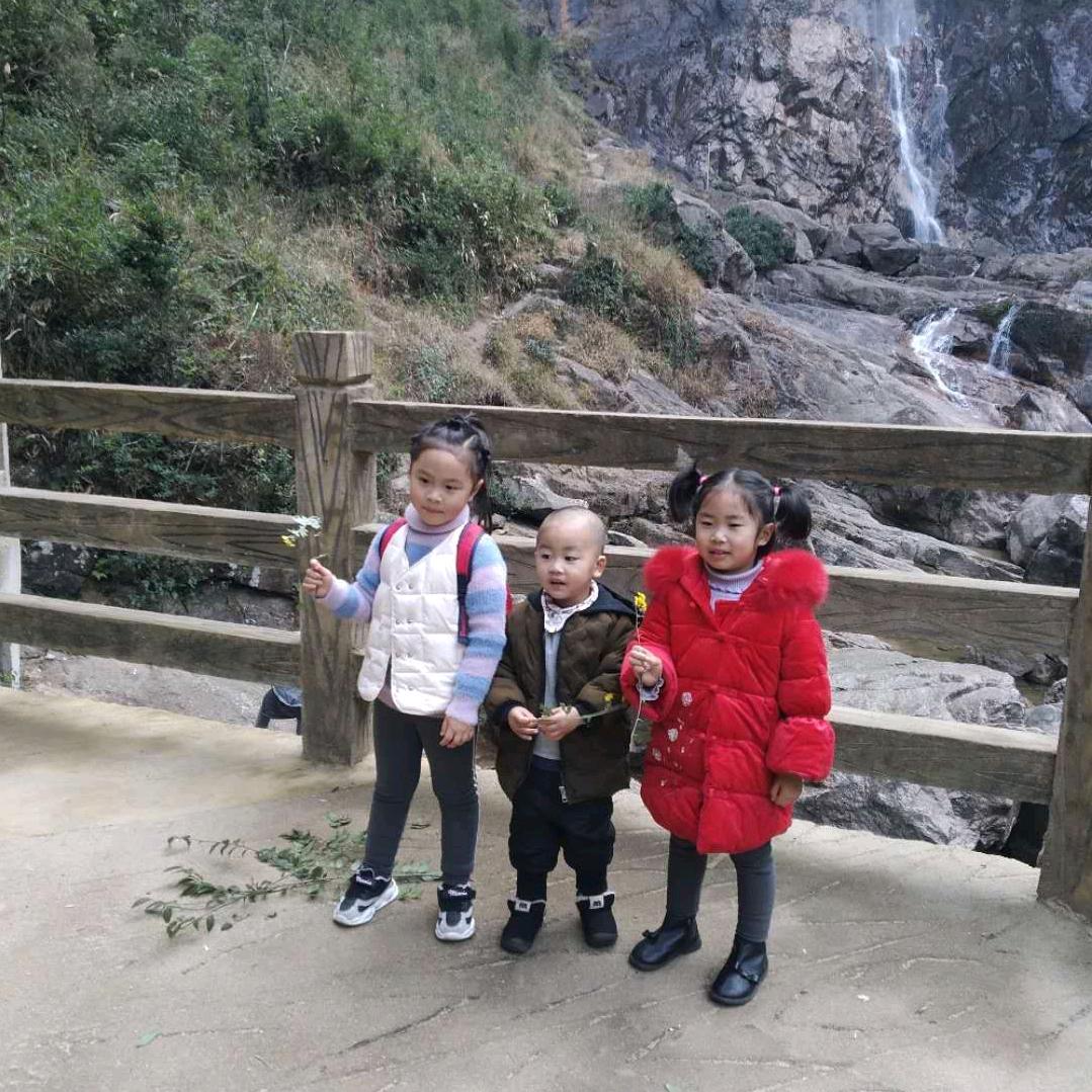 杨