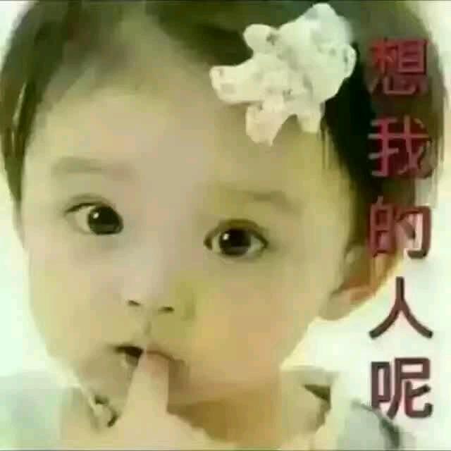 依然如故