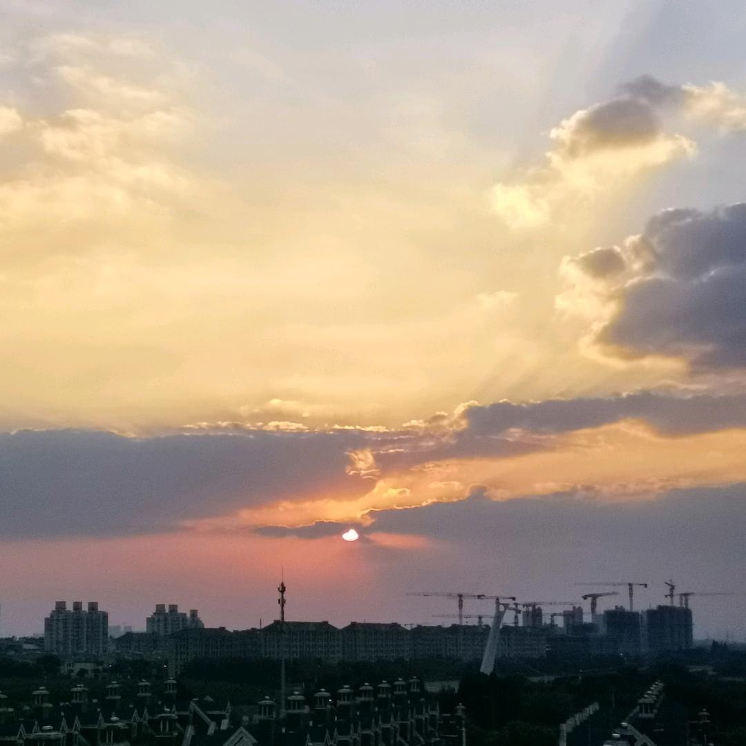 琦琦