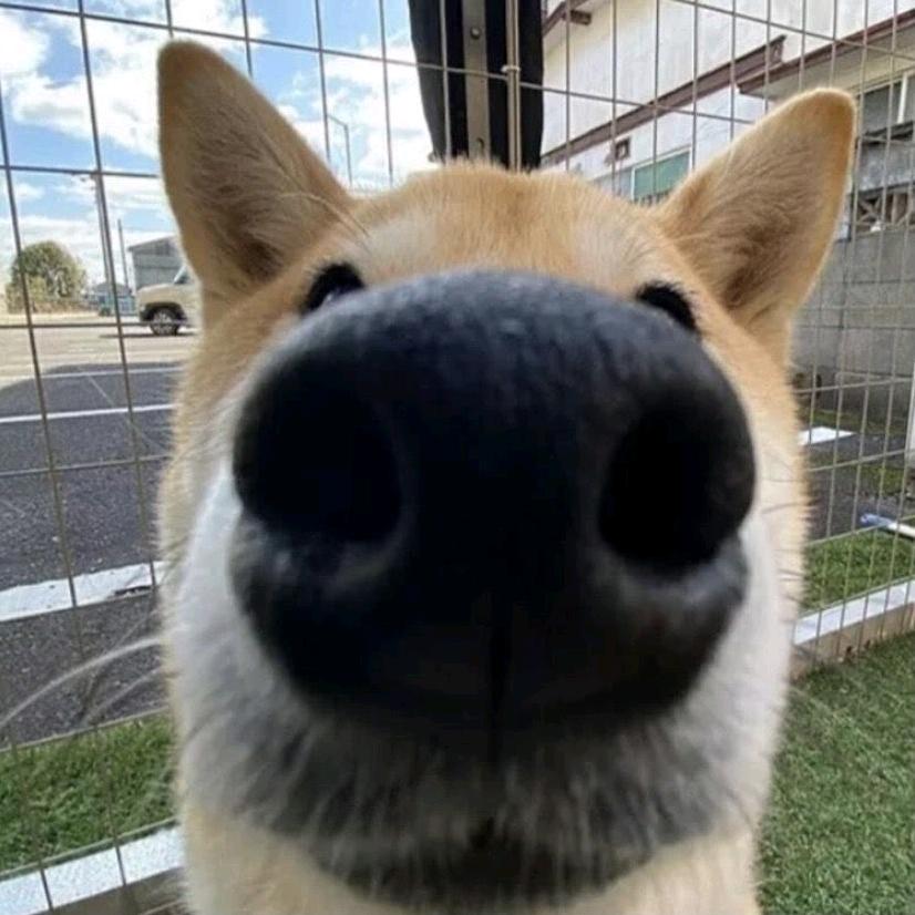 卑微的教父