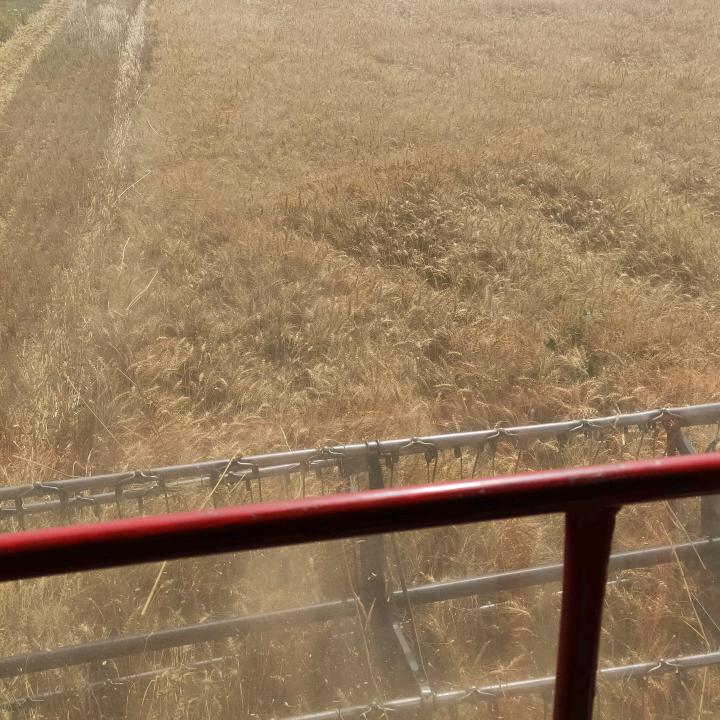 用户9364974351523
