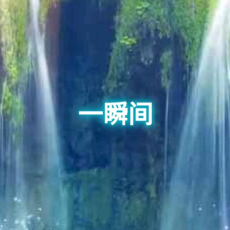琴