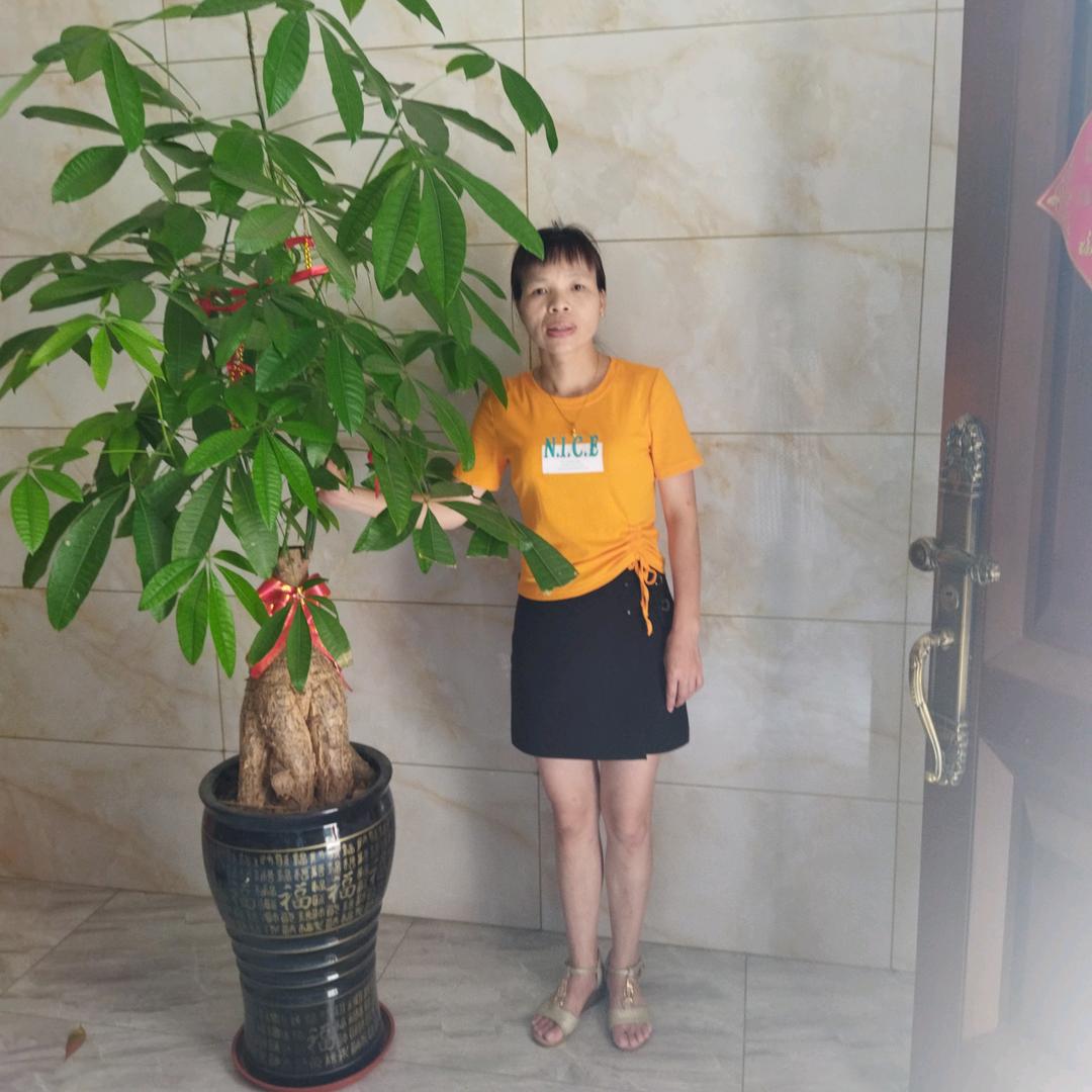 张菊花