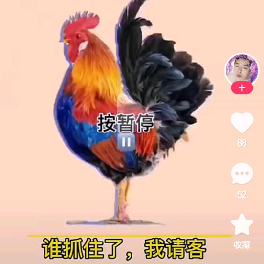 扬州早餐饮料批发