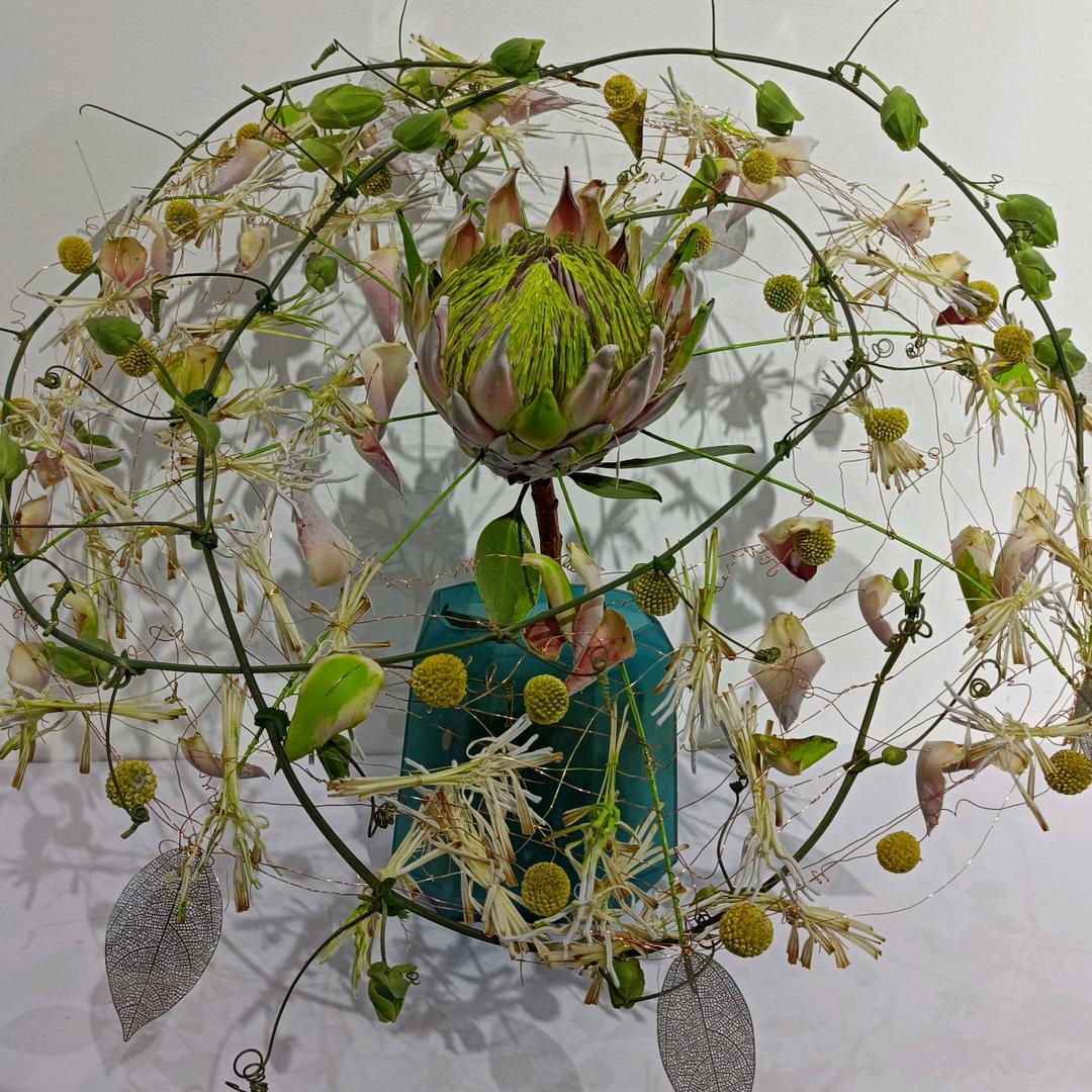 酒窝上的冰淇淋🍦