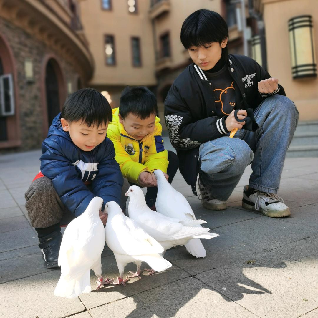 蝴蝶蜕变，才能展翅飞翔，凤凰涅槃，，，，