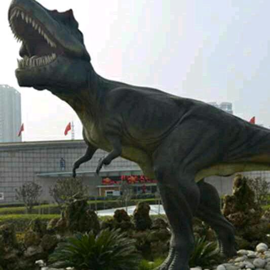 忘忧（🐺靠🐺）