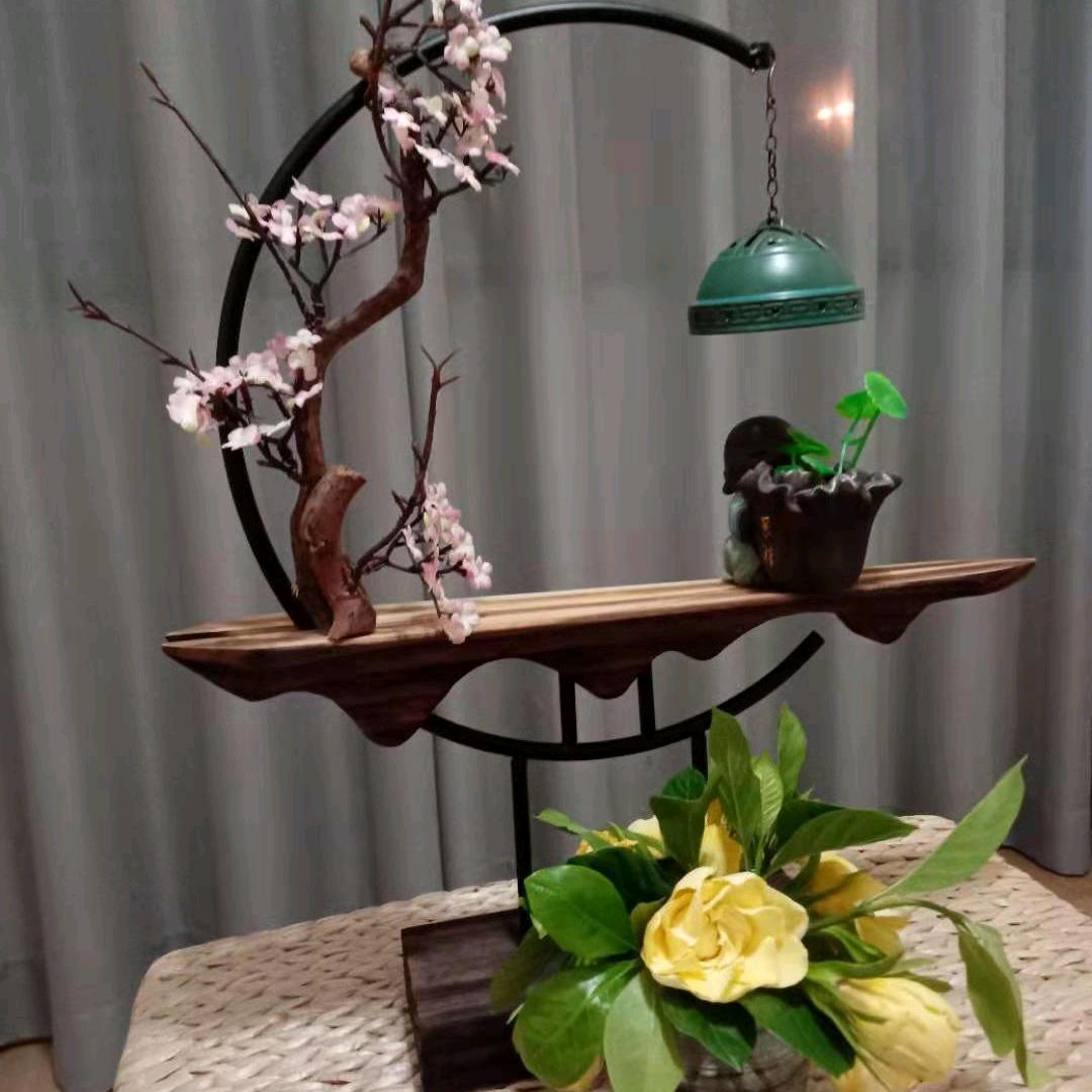 独望苍穹