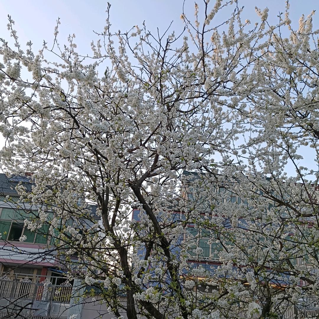 传说@