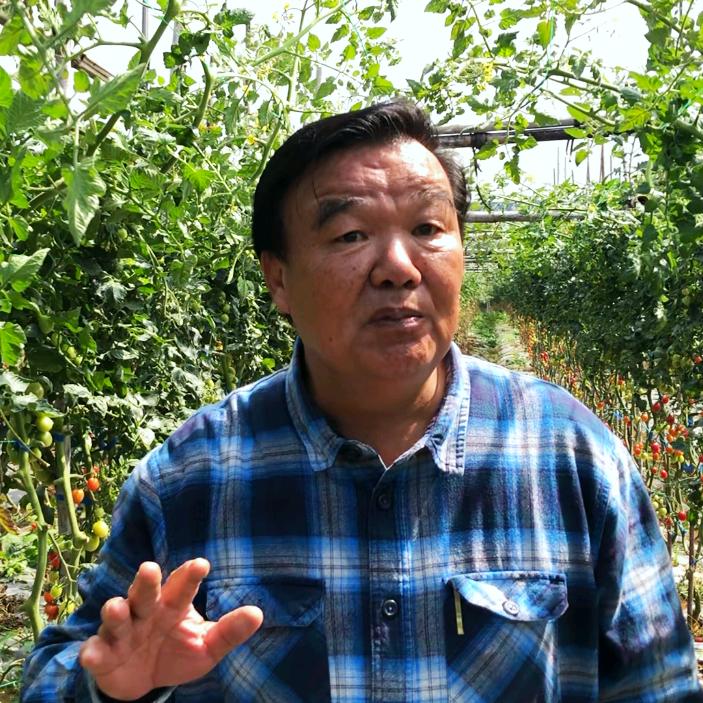 摇钱树张博士