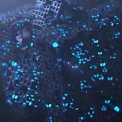 等待候鸟的出现