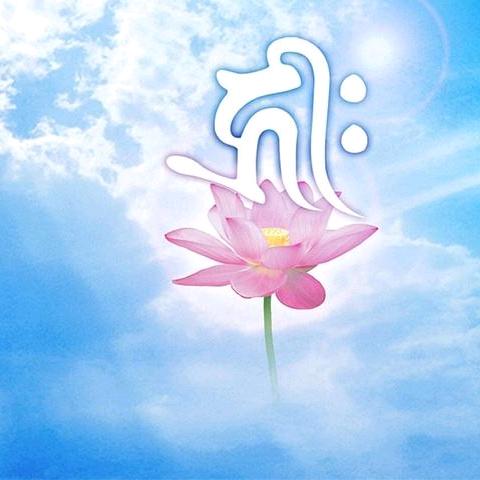 巳桂