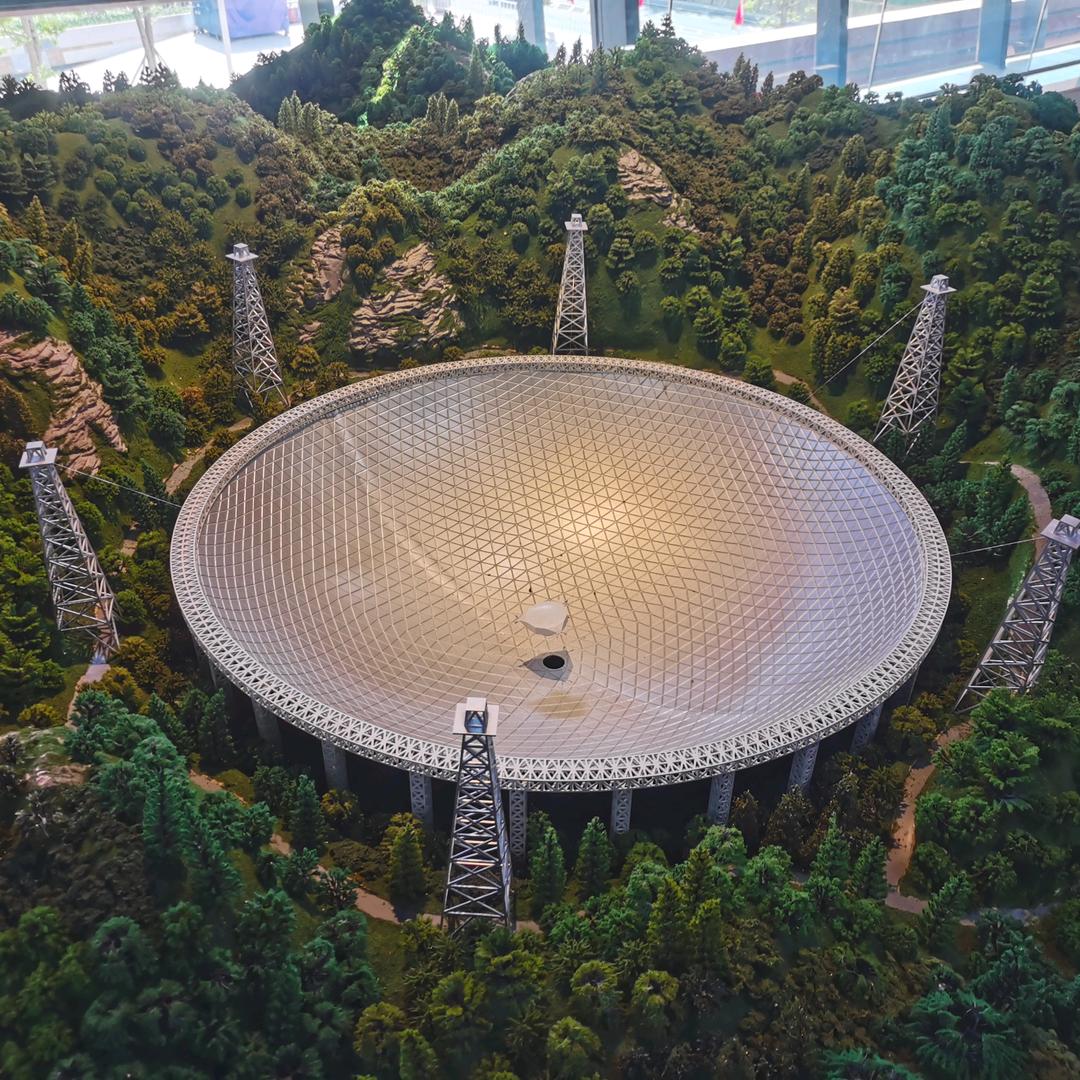 小刘同志