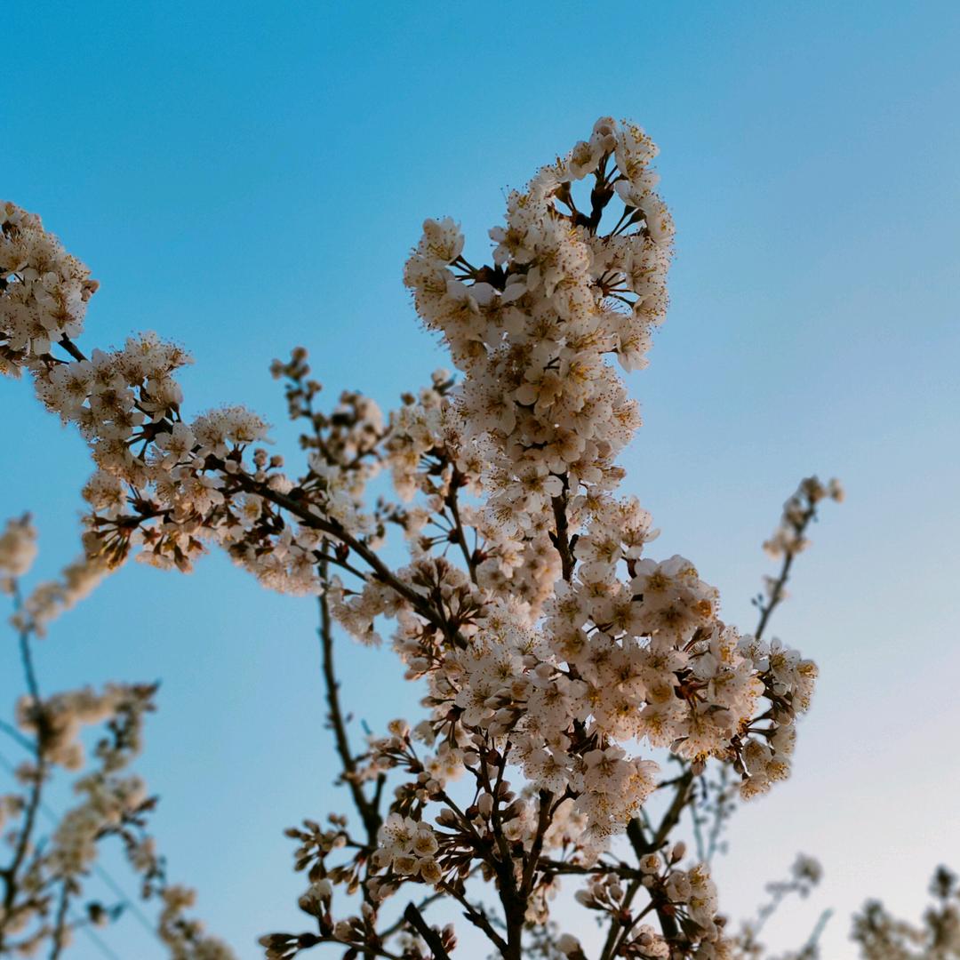 荏苒🌾.⁷⁷