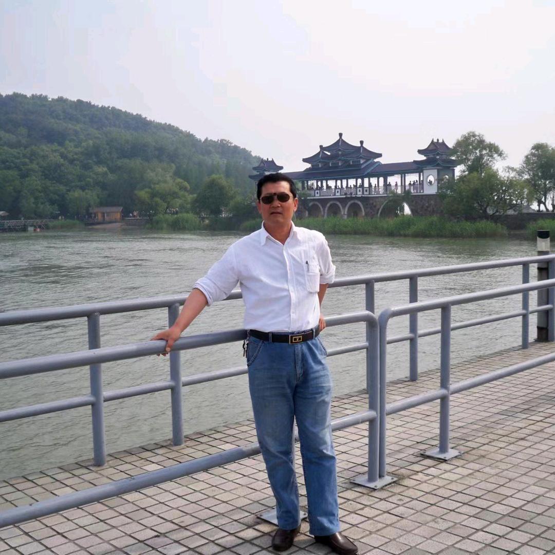 还是那棵大树