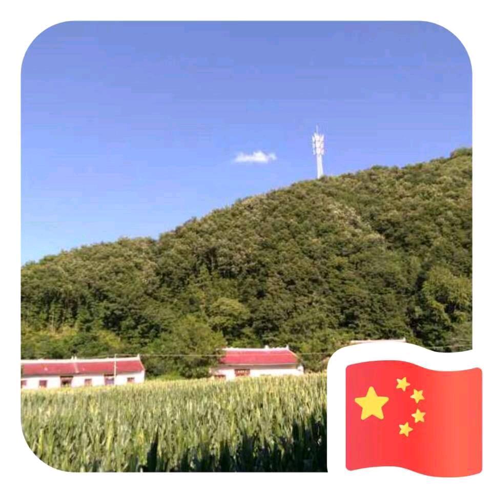 岁月无声