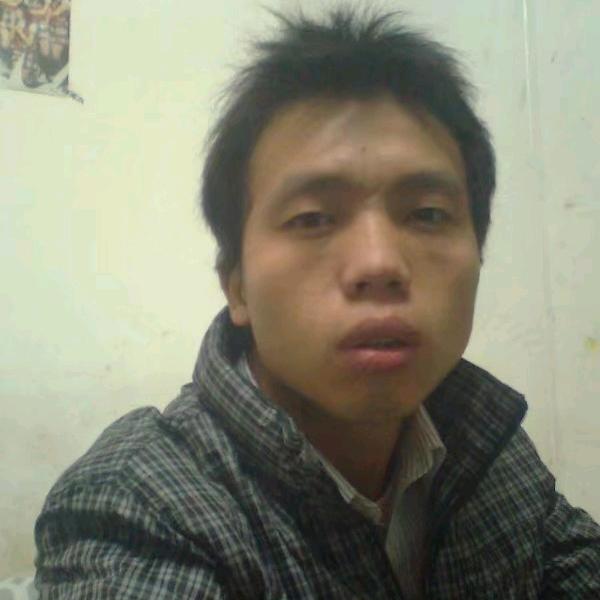 湘D  贴砖  李子木