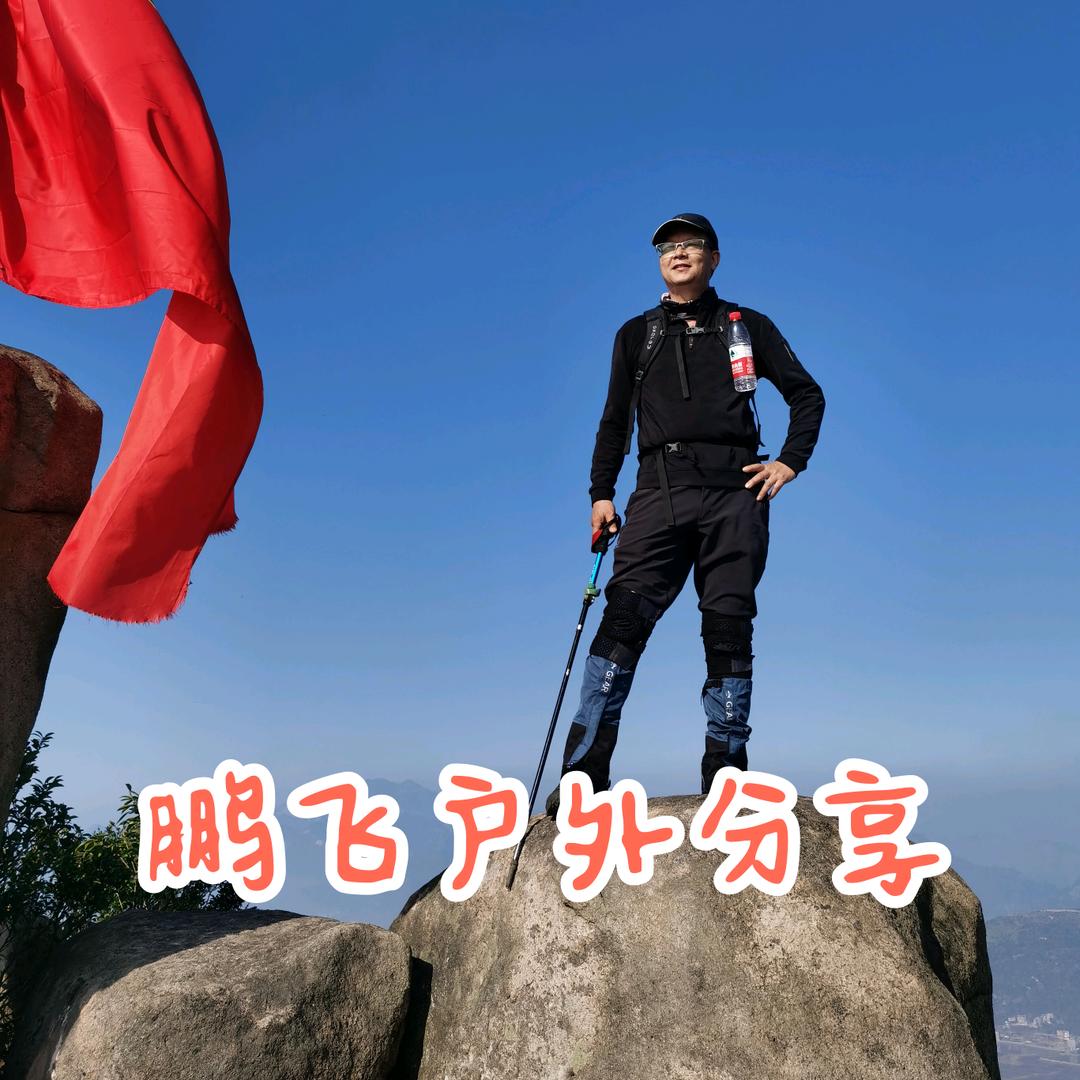 鹏飞