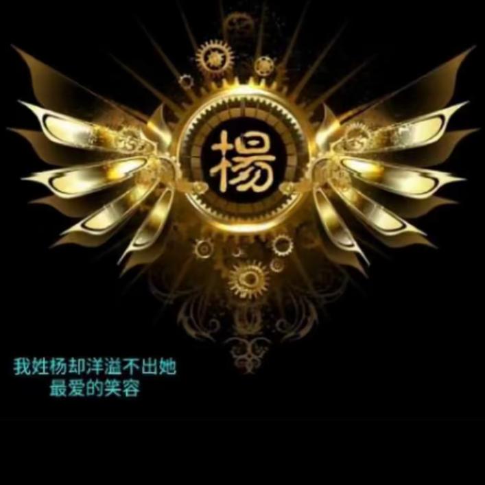 A.酒泉安驰驾校~杨教练