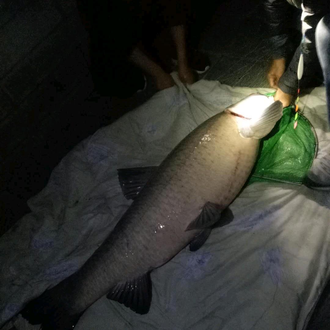 南北西东渔具优选