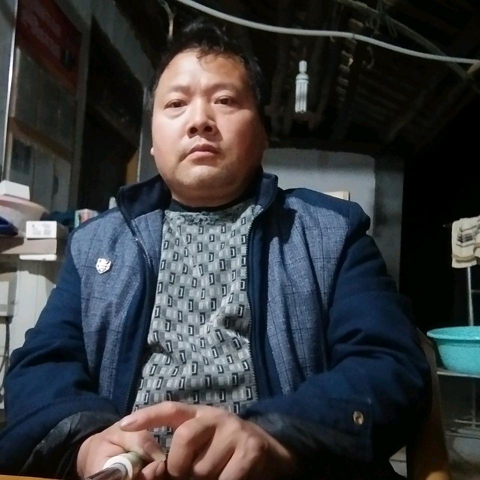 自由飞翔