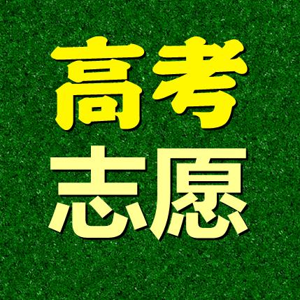 张老师志愿填报