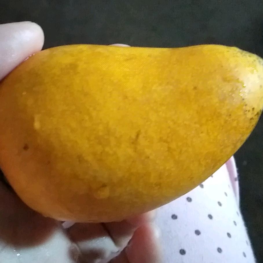 会茹