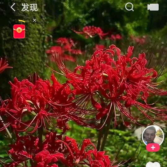 用户9904663450742