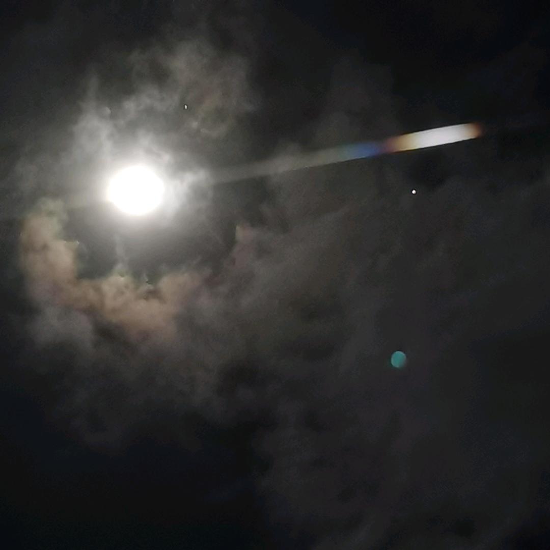 桉